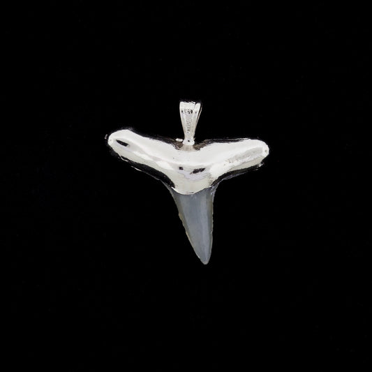 1" Fossil Lemon Shark Tooth Pendant | Nickel Electroformed