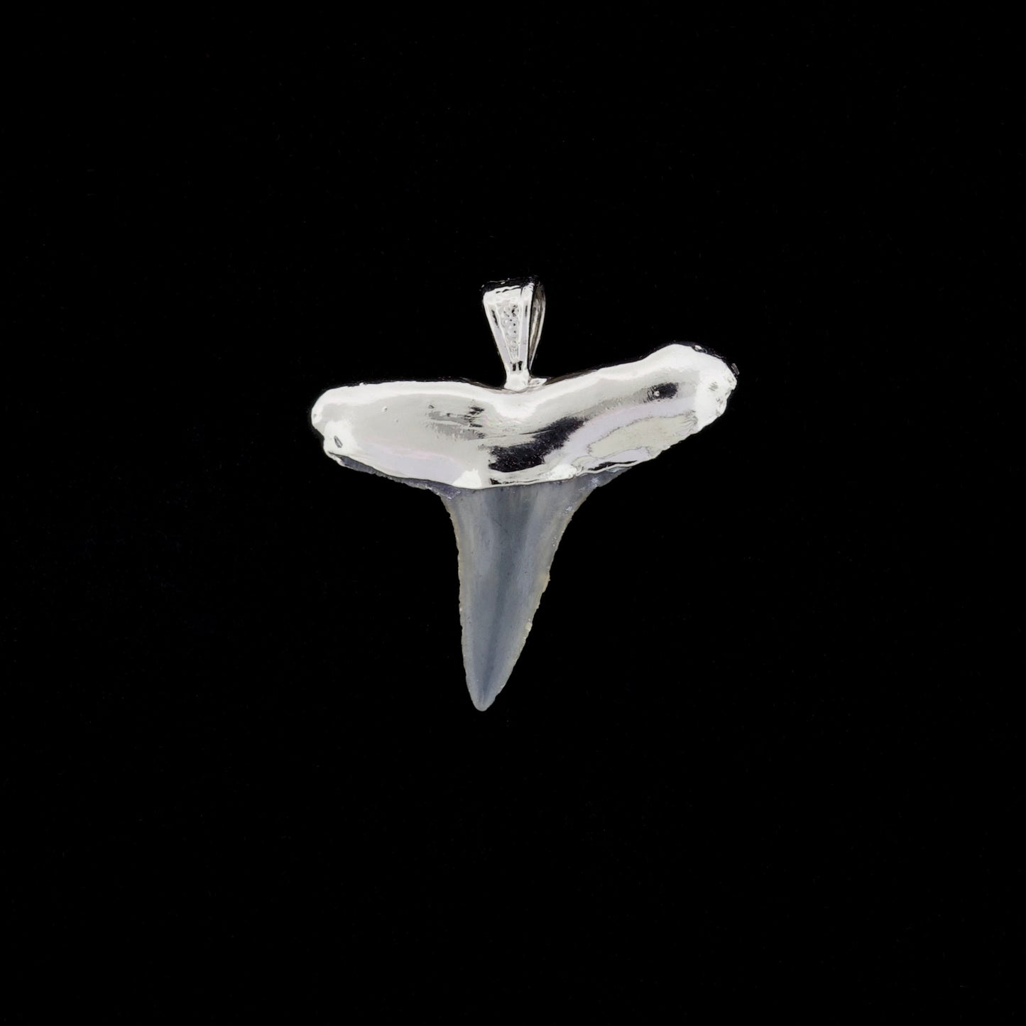 1" Fossil Lemon Shark Tooth Pendant | Nickel Electroformed