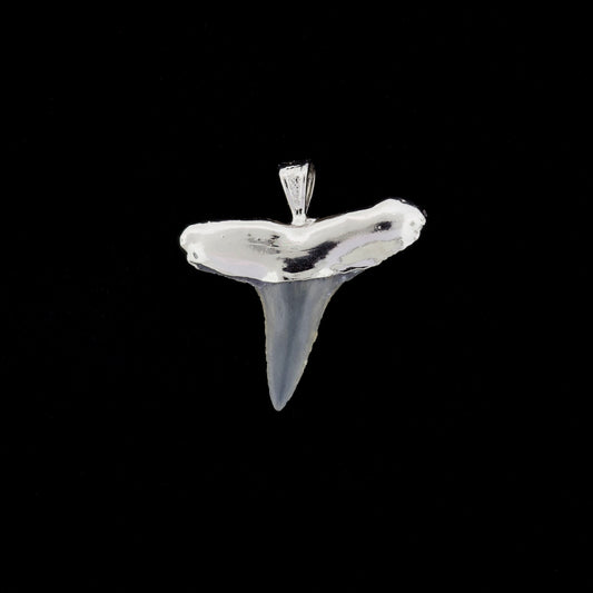 1" Fossil Lemon Shark Tooth Pendant | Nickel Electroformed