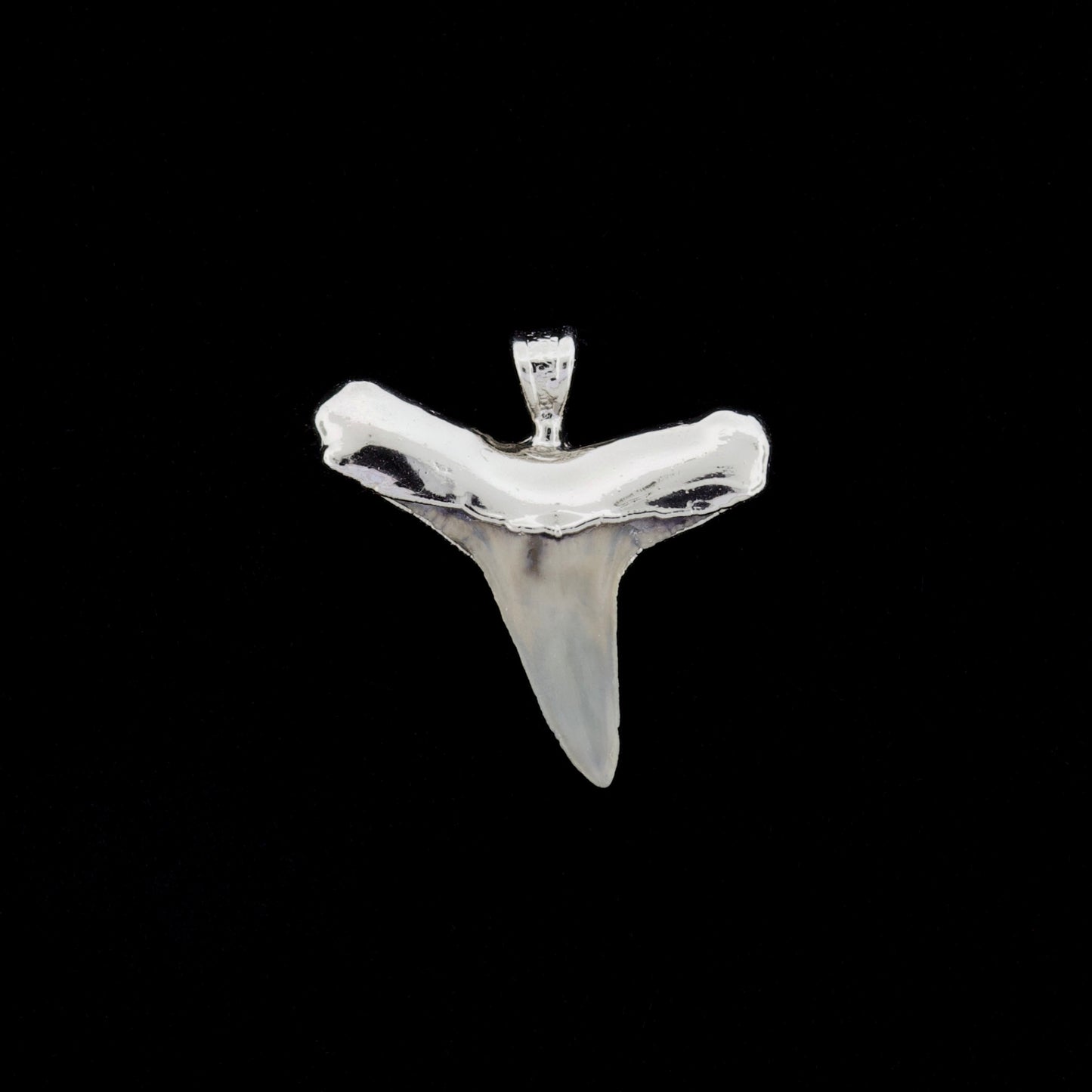 1" Fossil Lemon Shark Tooth Pendant | Nickel Electroformed