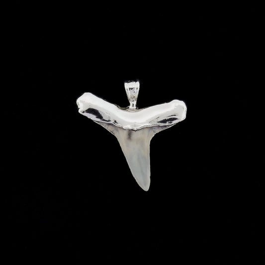 1" Fossil Lemon Shark Tooth Pendant | Nickel Electroformed