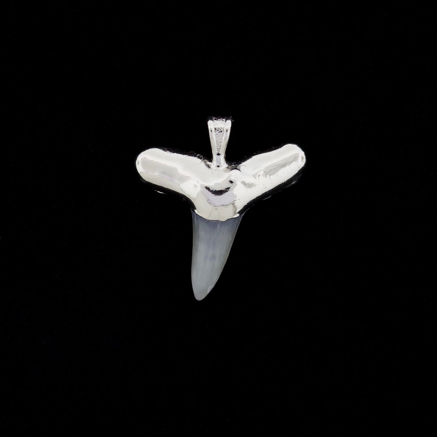 1" Fossil Lemon Shark Tooth Pendant | Nickel Electroformed