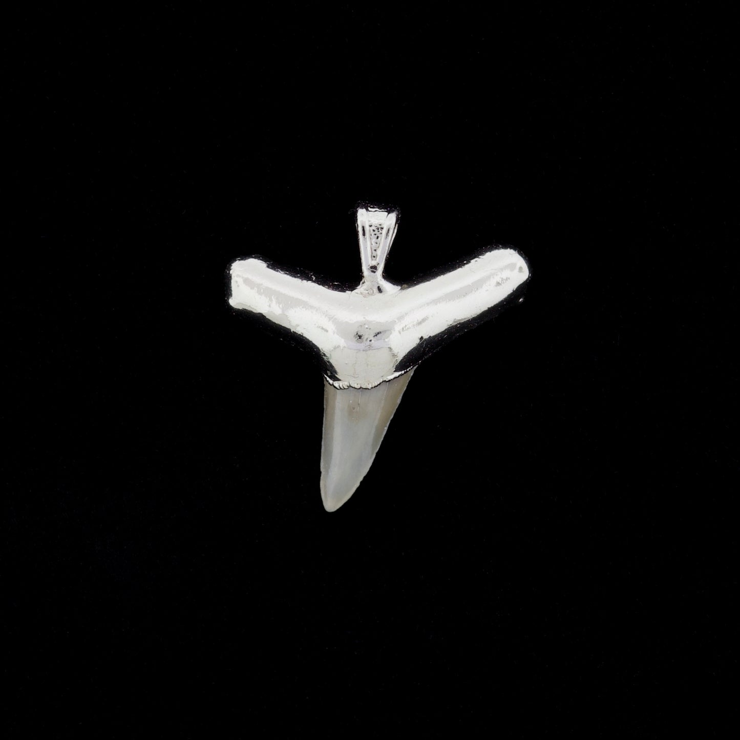 1" Fossil Lemon Shark Tooth Pendant | Nickel Electroformed