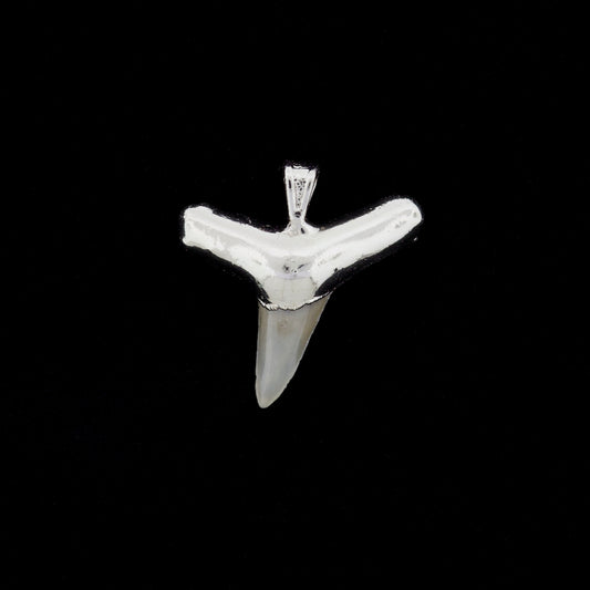 1" Fossil Lemon Shark Tooth Pendant | Nickel Electroformed