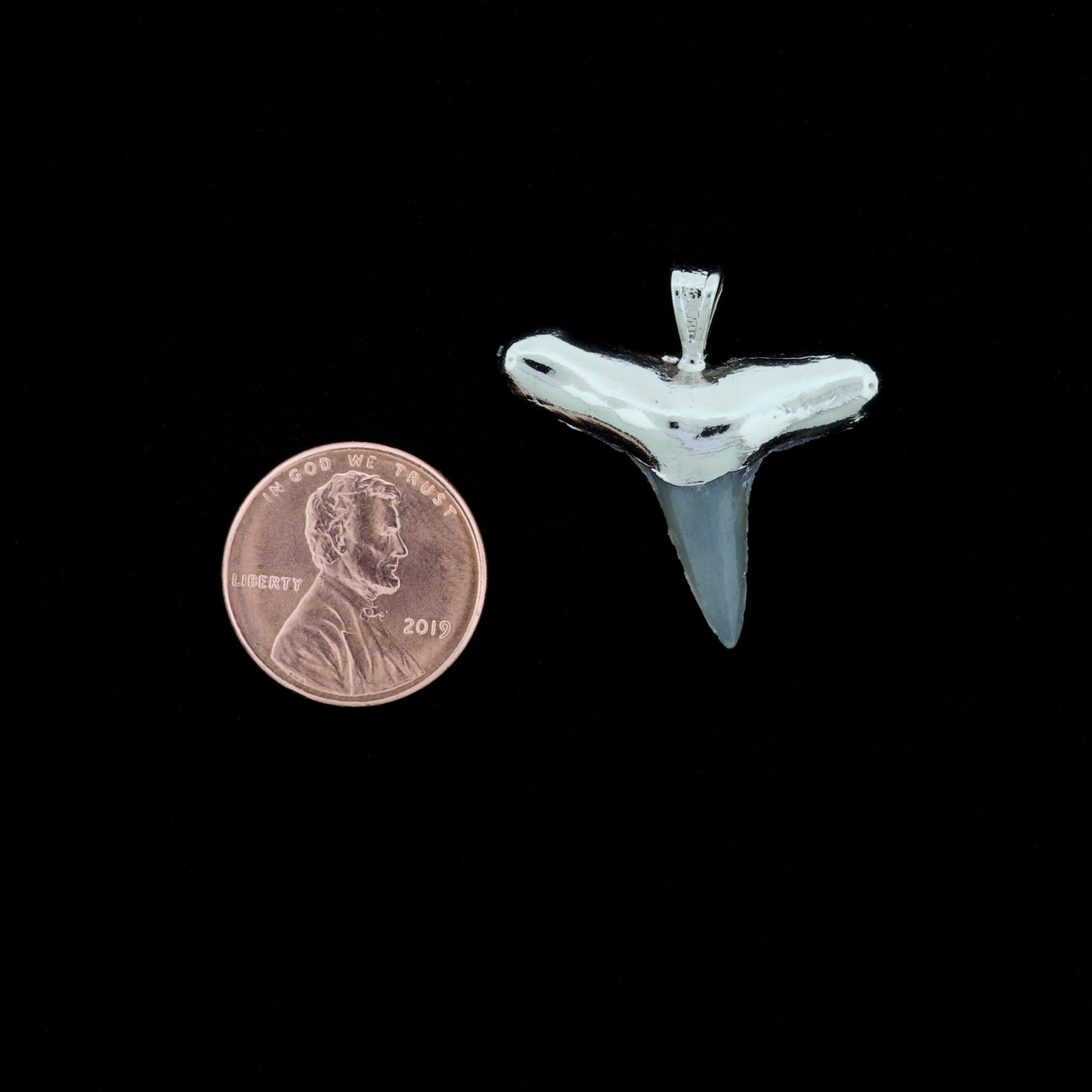 1" Fossil Lemon Shark Tooth Pendant | Nickel Electroformed