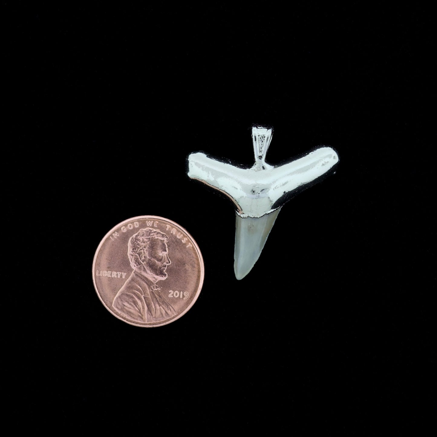 1" Fossil Lemon Shark Tooth Pendant | Nickel Electroformed