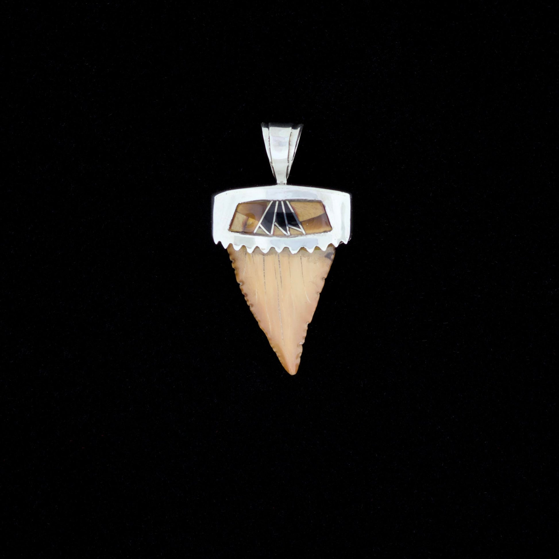 Fossil pygmy white shark tooth pendant with silver bail, onyx and tiger's eye inlay, on a black background. 
