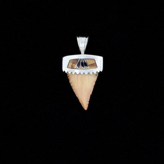 Fossil pygmy white shark tooth pendant with silver bail, onyx and tiger's eye inlay, on a black background. 