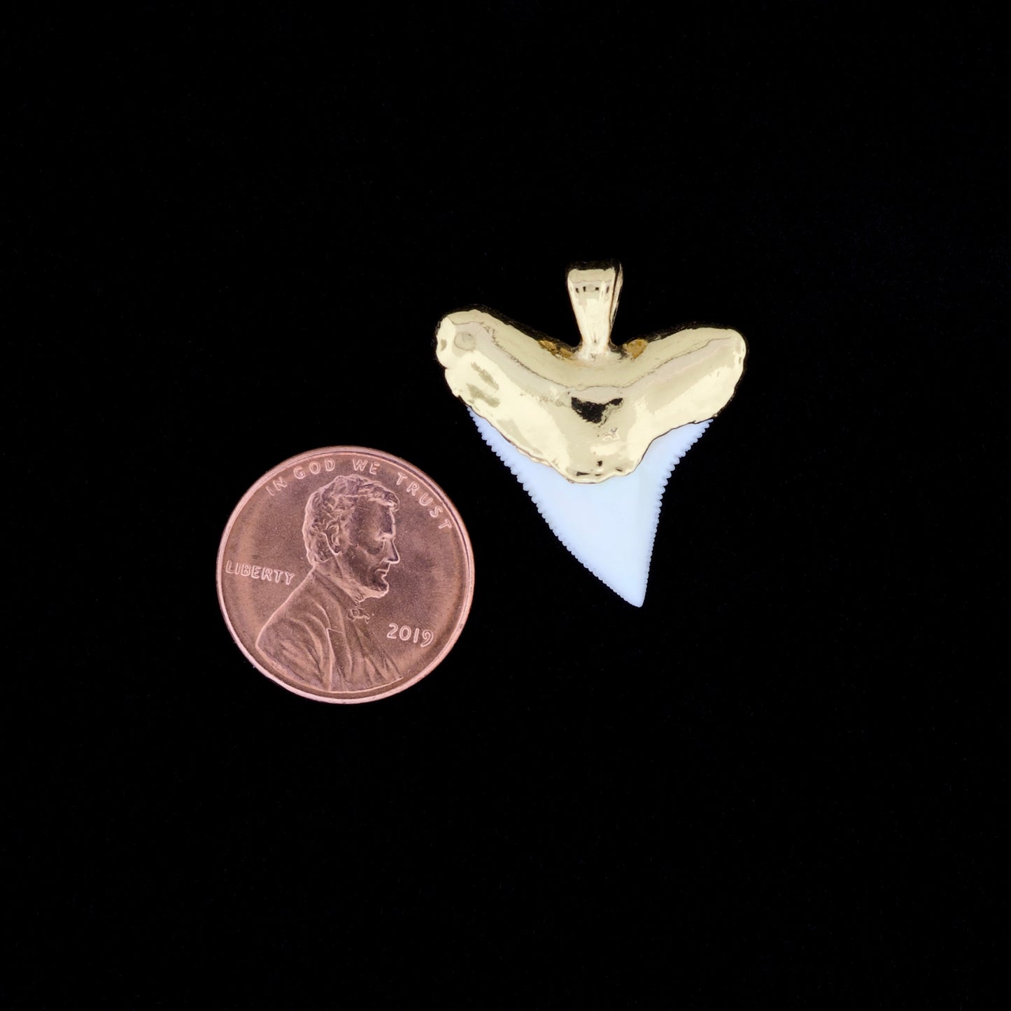 1" Oceanic White Tip Shark Tooth Pendant - 18K Gold Electroformed