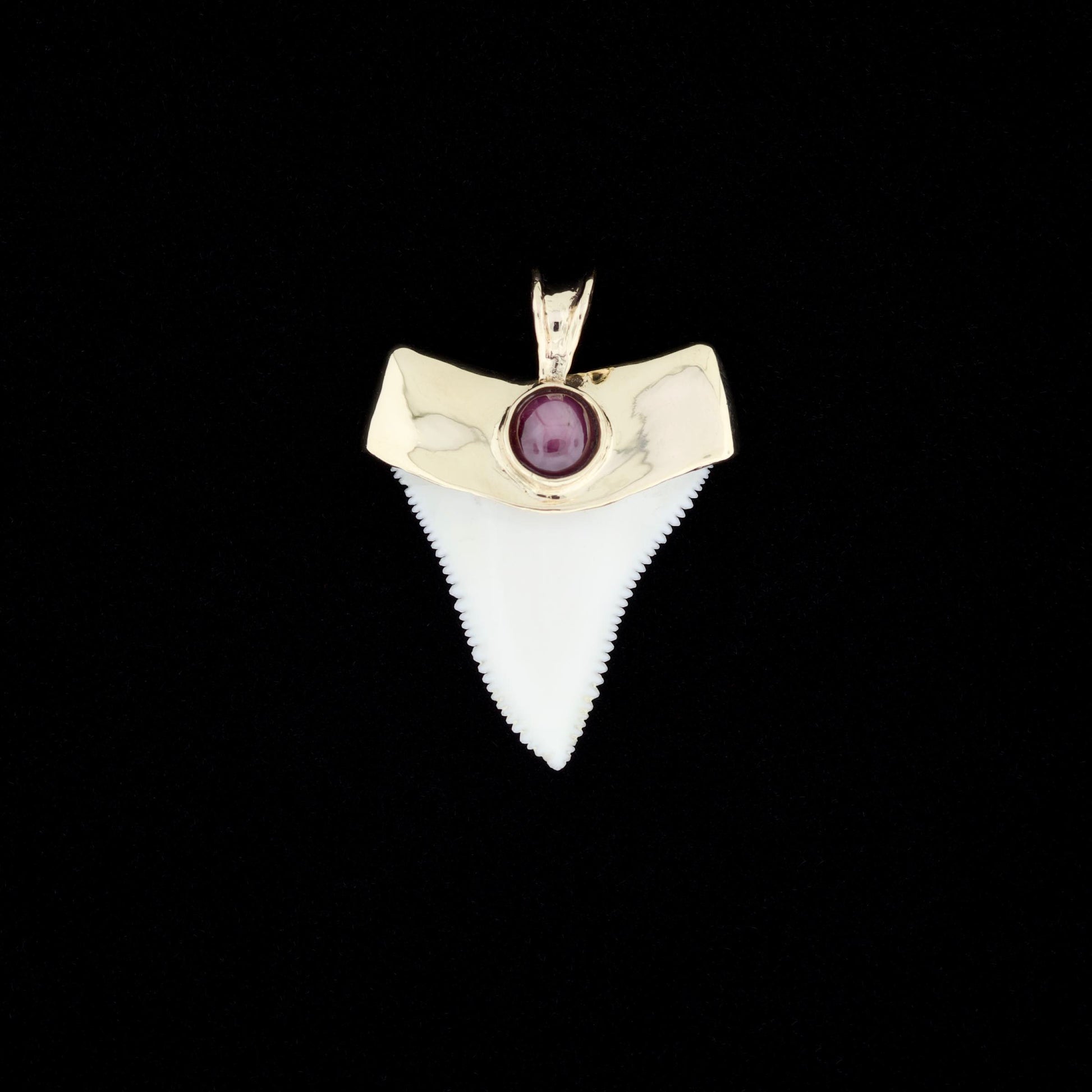 Modern great white shark tooth pendant with a gold cap and ruby inlay on a black background
