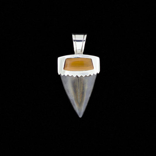 Fossil mako shark tooth pendant with silver and tiger's eye inlay on a black background.