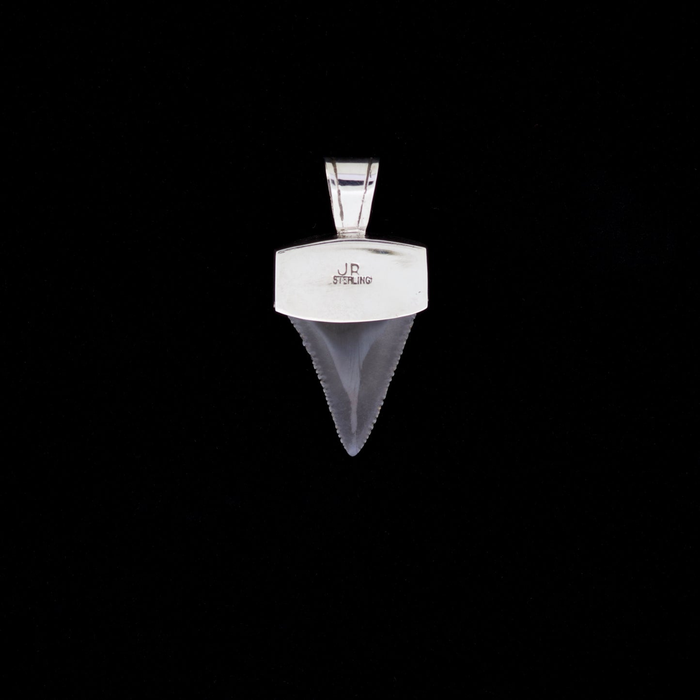 1-1/4" Fossil Great White Shark Pendant | Sterling Silver & Turquoise Inlay (NWD)