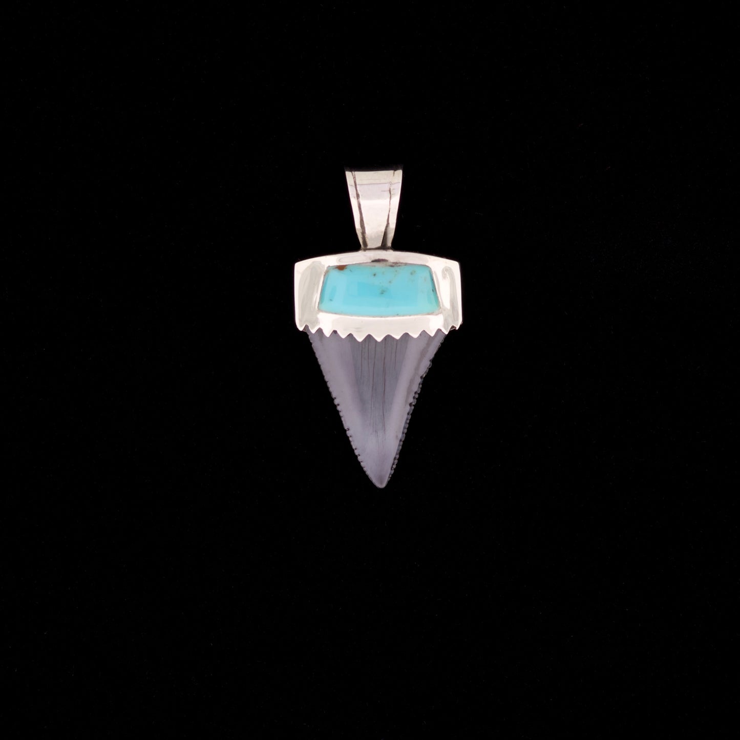 1-1/4" Fossil Great White Shark Pendant | Sterling Silver & Turquoise Inlay (NWD)