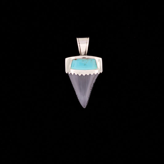 1-1/4" Fossil Great White Shark Pendant | Sterling Silver & Turquoise Inlay (NWD)