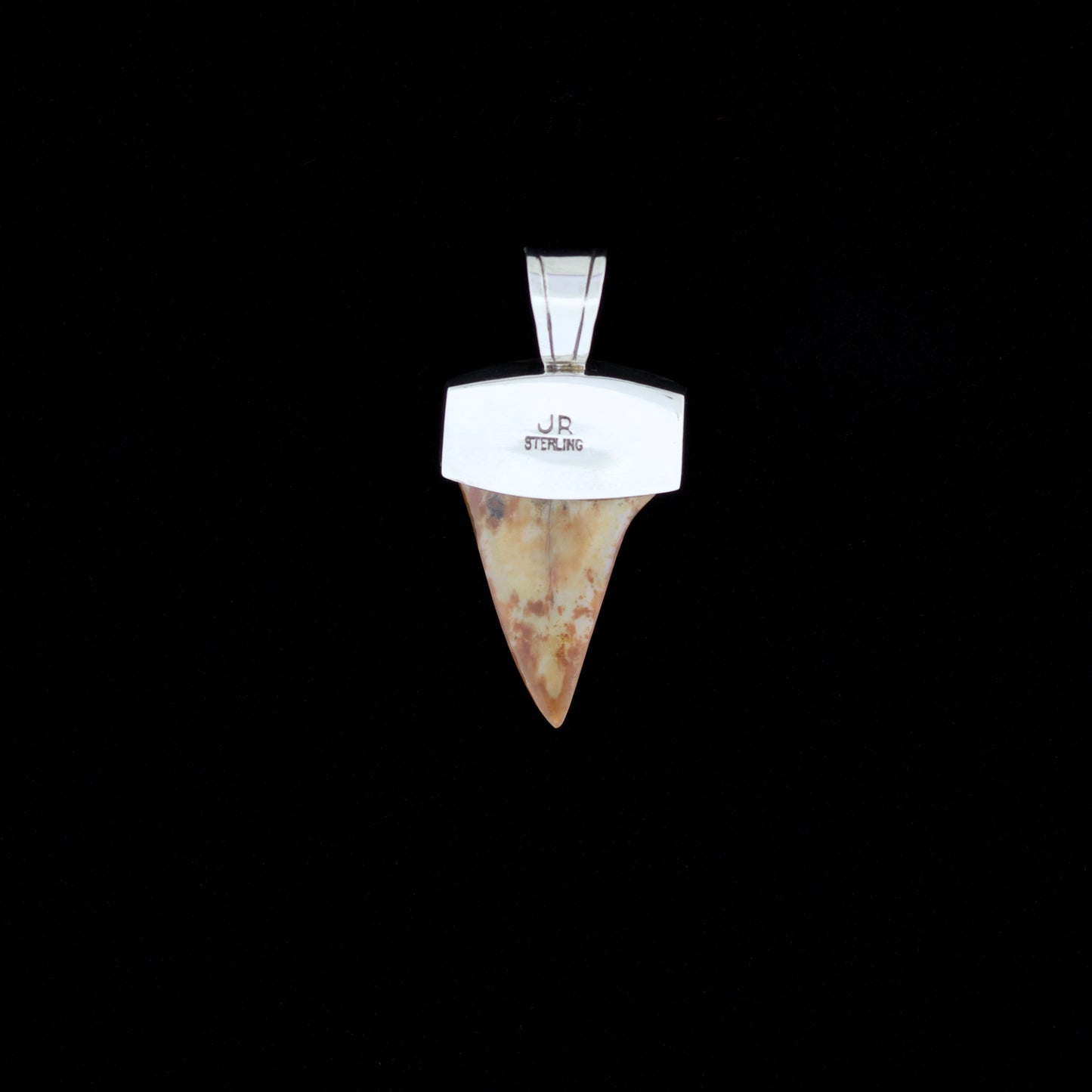 1-1/4" Fossil Mako Shark Pendant | Sterling Silver & Tiger's Eye