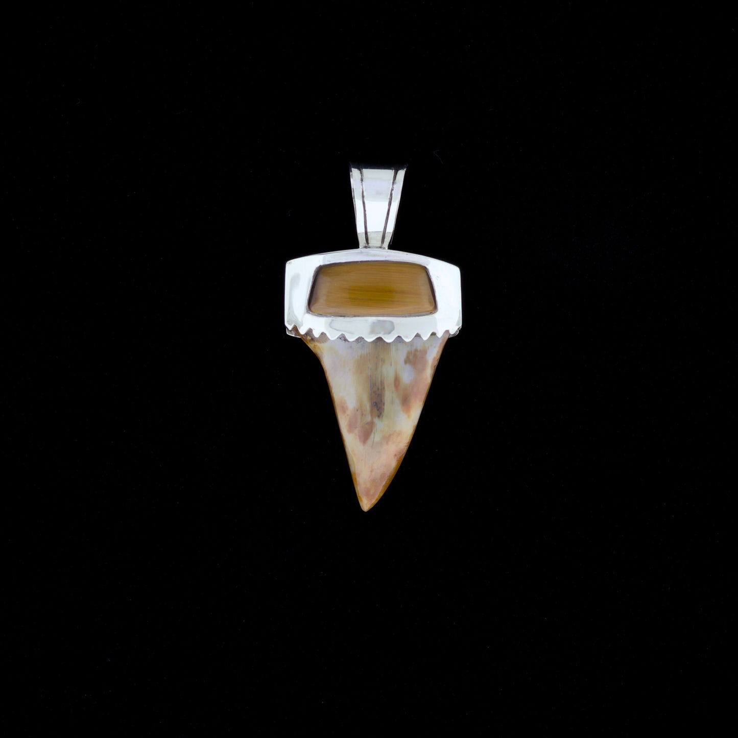 1-1/4" Fossil Mako Shark Pendant | Sterling Silver & Tiger's Eye