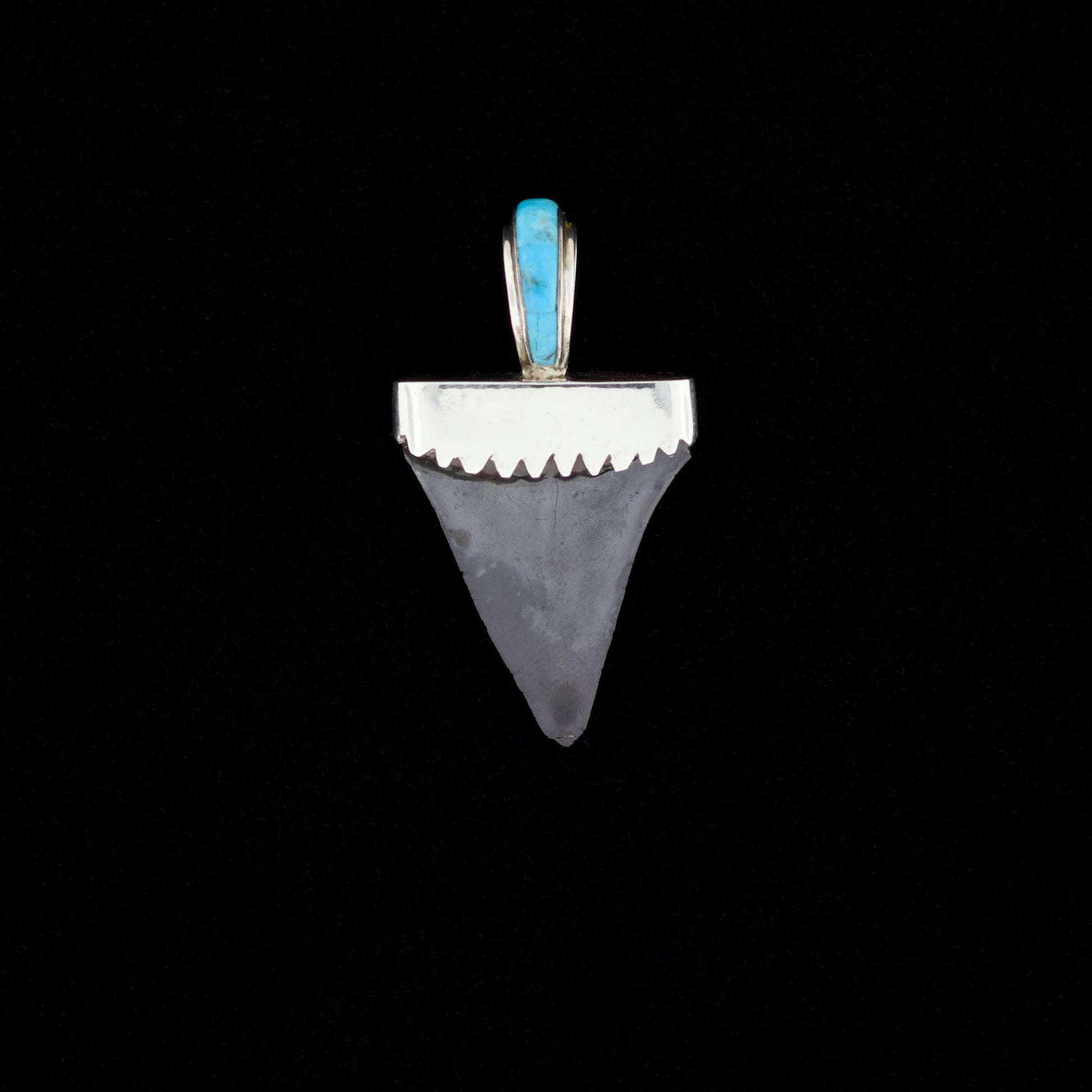 Fossil mako shark tooth pendant with blue turquoise inlay on a black background