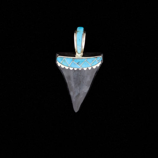 Fossil mako shark tooth pendant with blue turquoise inlay on a black background