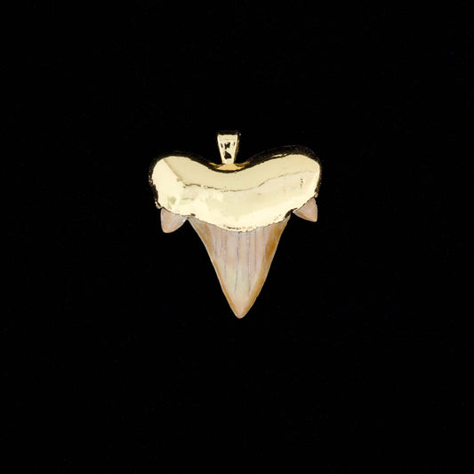 Gold plated otodus obliquus shark tooth pendant, on a black background