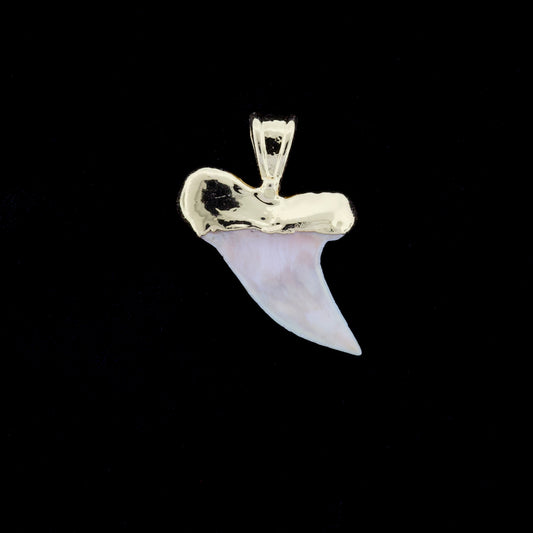 1-1/8" Fossil Hooktooth Mako Shark Tooth Pendant | 18k Gold Electroformed
