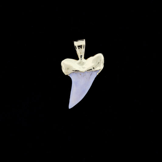 1-1/8" Fossil Hooktooth Mako Shark Tooth Pendant | 18k Gold Electroformed
