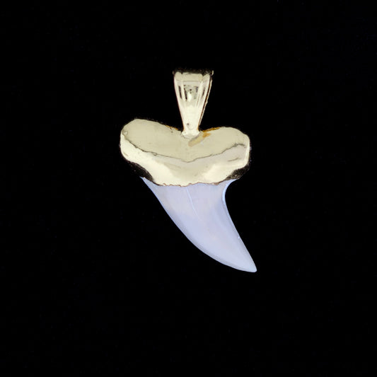 1-1/8" Fossil Hooktooth Mako Shark Tooth Pendant | 18k Gold Electroformed