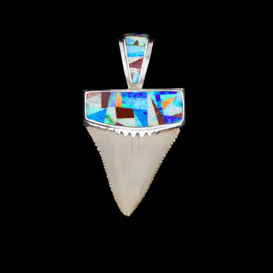 Multicolored opal inlay fossil great white shark tooth pendant on a black background