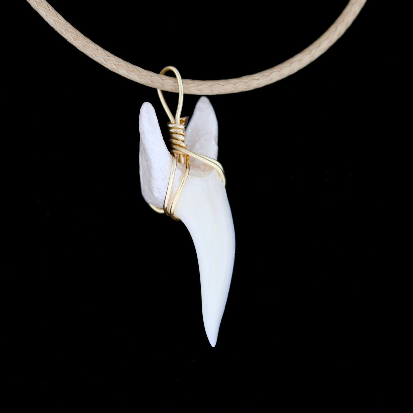 1-3/8" Modern Mako Shark Tooth Necklace