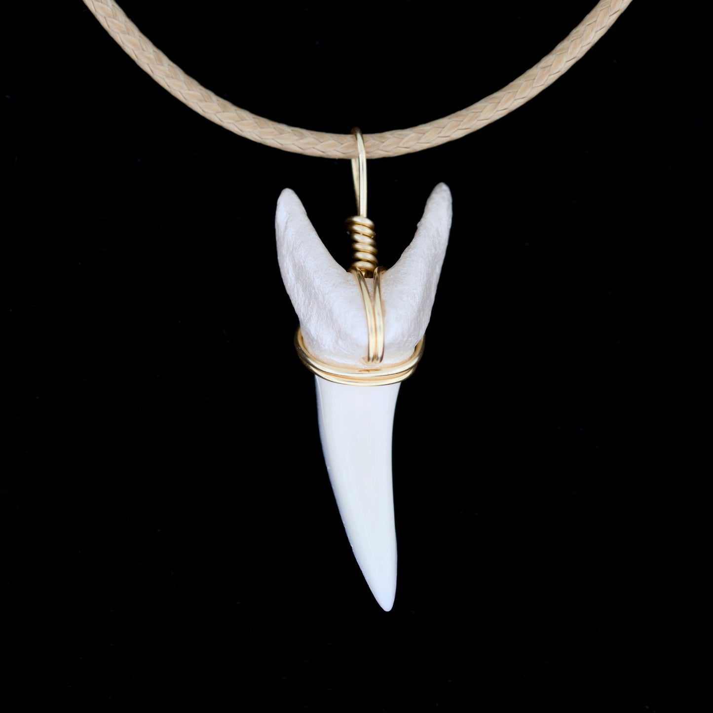 1-3/8" Modern Mako Shark Tooth Necklace