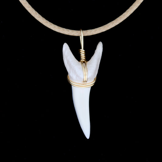 1-3/8" Modern Mako Shark Tooth Necklace