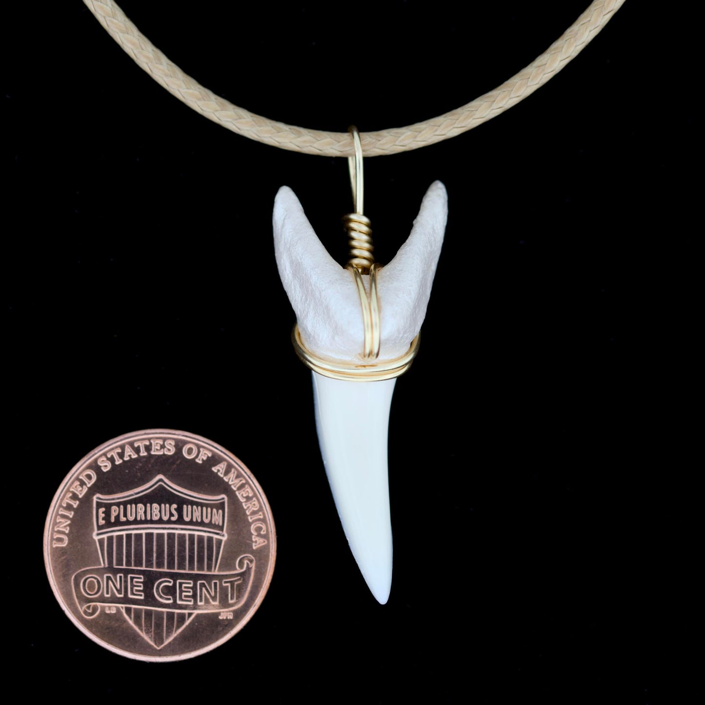 1-3/8" Modern Mako Shark Tooth Necklace