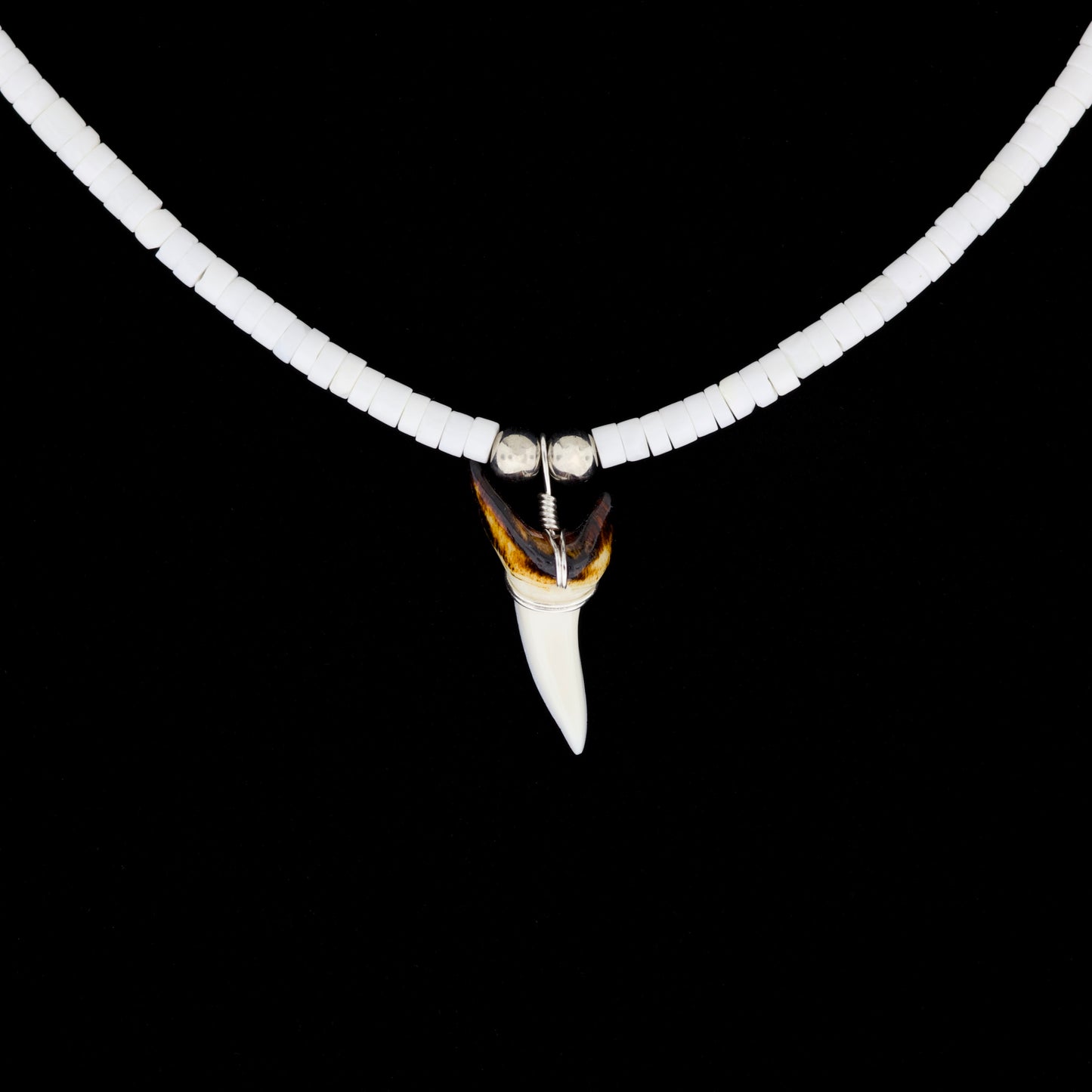 1-3/8" Modern Mako Tooth Necklace – Large Moon Shell Heishi