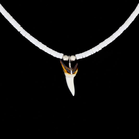 1-3/8" Modern Mako Tooth Necklace – Large Moon Shell Heishi