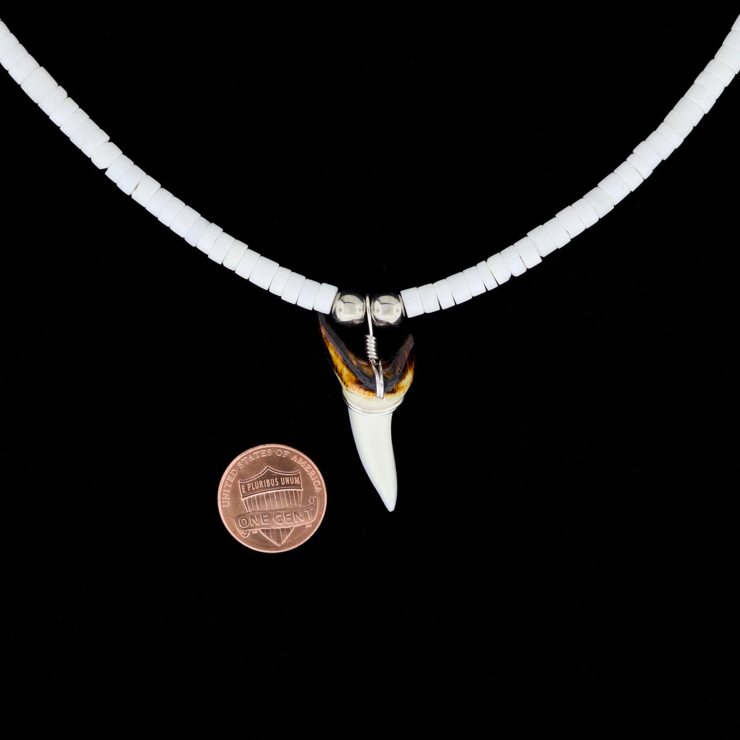 1-3/8" Modern Mako Tooth Necklace – Large Moon Shell Heishi