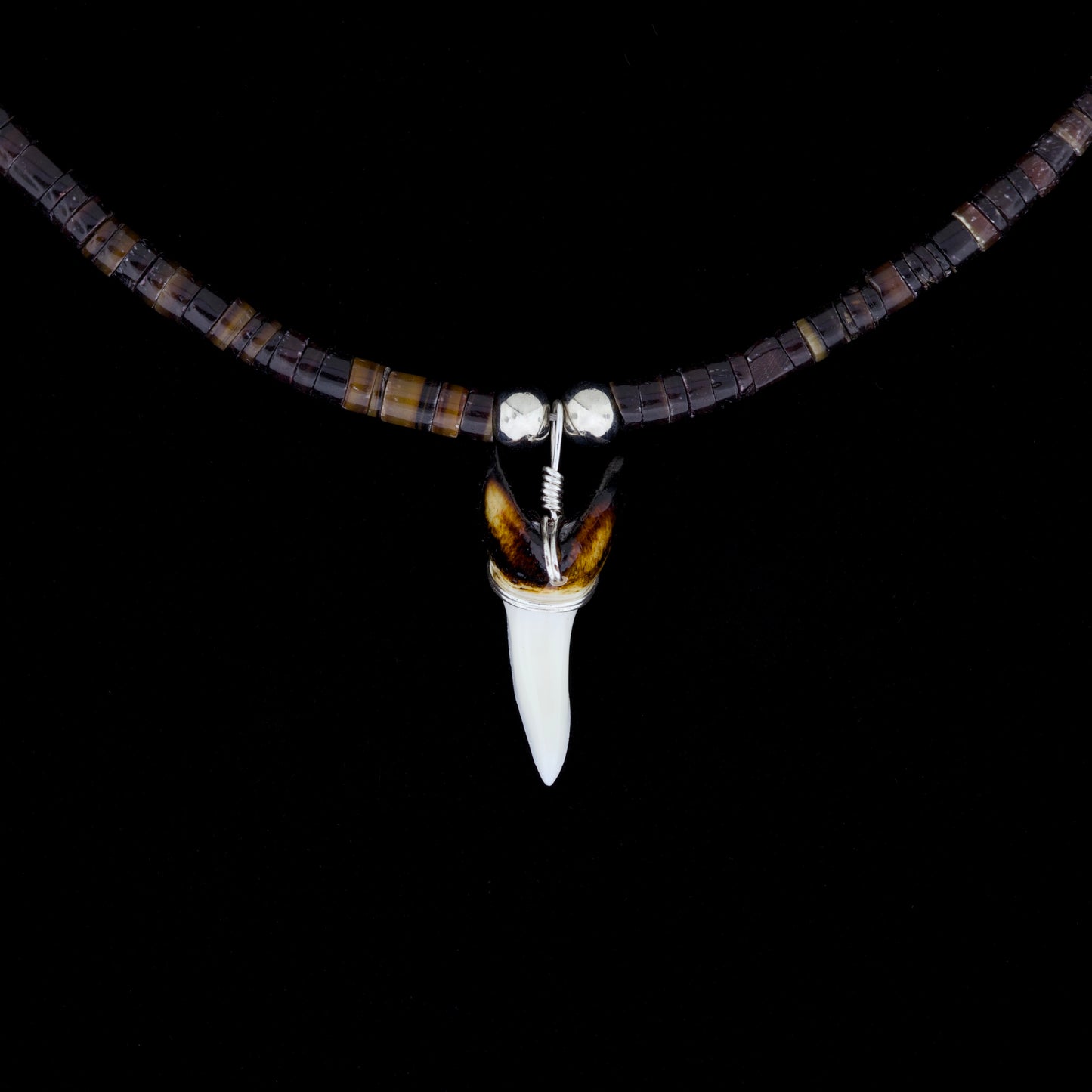 1-3/8" Modern Mako Tooth Necklace – Large Pen Shell Heishi