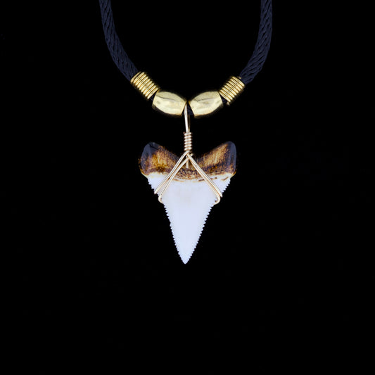 1-7/16" Modern Great White Tooth Necklace – Burnt Root, Wire Wrap