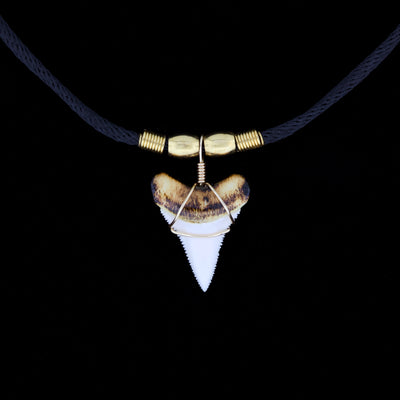 1-7/16" Modern Great White Tooth Necklace – Burnt Root, Wire Wrap