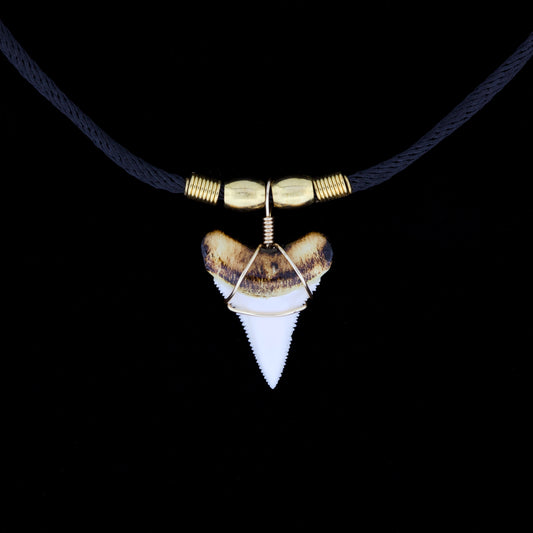 1-7/16" Modern Great White Tooth Necklace – Burnt Root, Wire Wrap