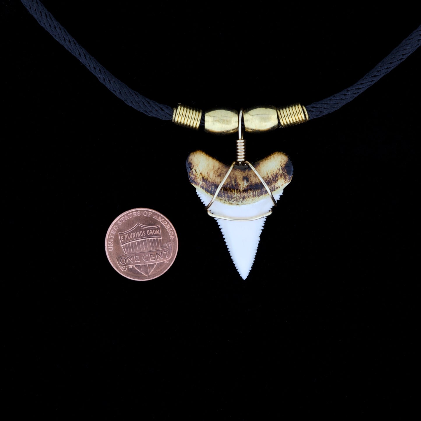 1-7/16" Modern Great White Tooth Necklace – Burnt Root, Wire Wrap