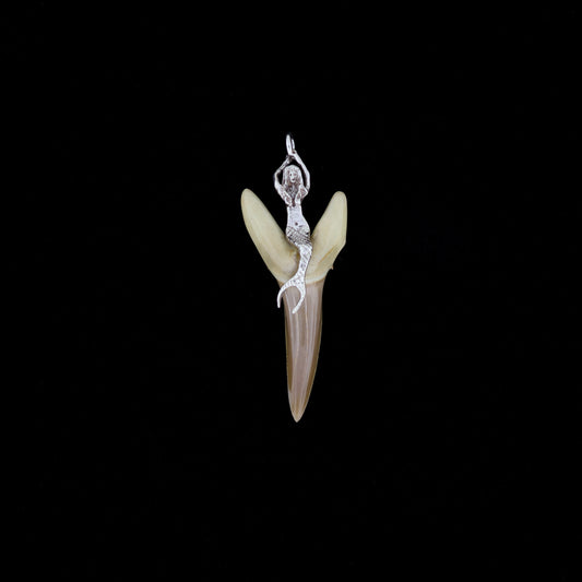 2" Fossil Sand Tiger Shark Tooth Pendant with Sterling Silver Mermaid