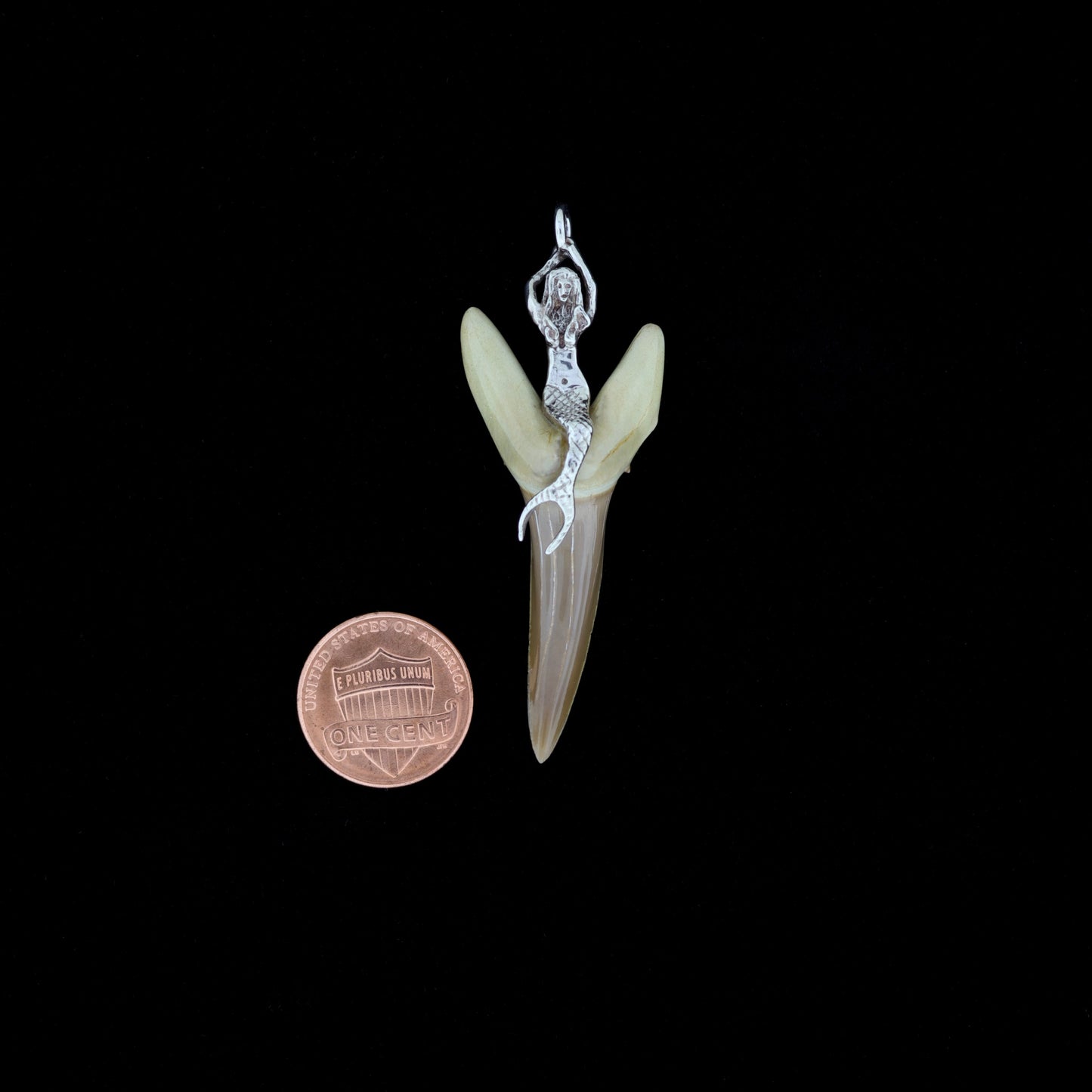 2" Fossil Sand Tiger Shark Tooth Pendant with Sterling Silver Mermaid