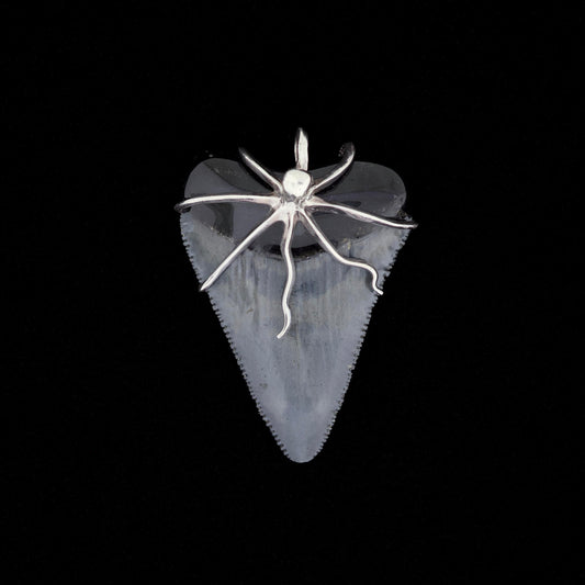 2-1/4" Fossil Great White Pendant | Sterling Silver Octopus