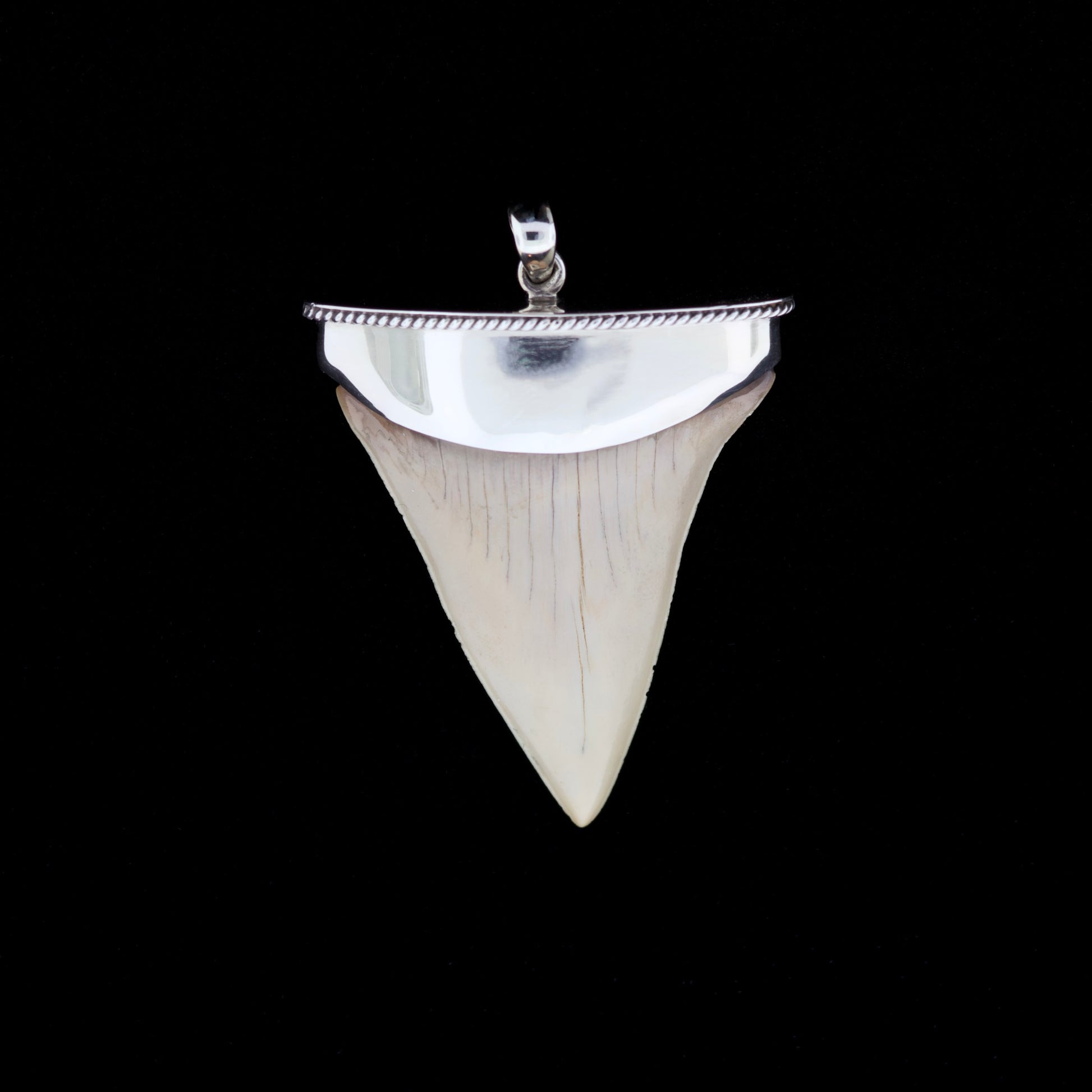Shiny silver fossil mako shark tooth pendant on a black background