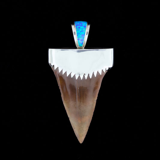 Fossil mako shark tooth pendant with blue inlay and silver setting on a black background.