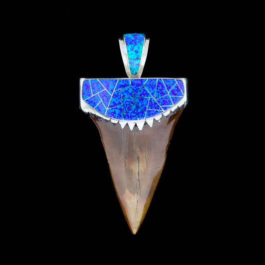 Fossil mako shark tooth pendant with blue inlay and silver setting on a black background.