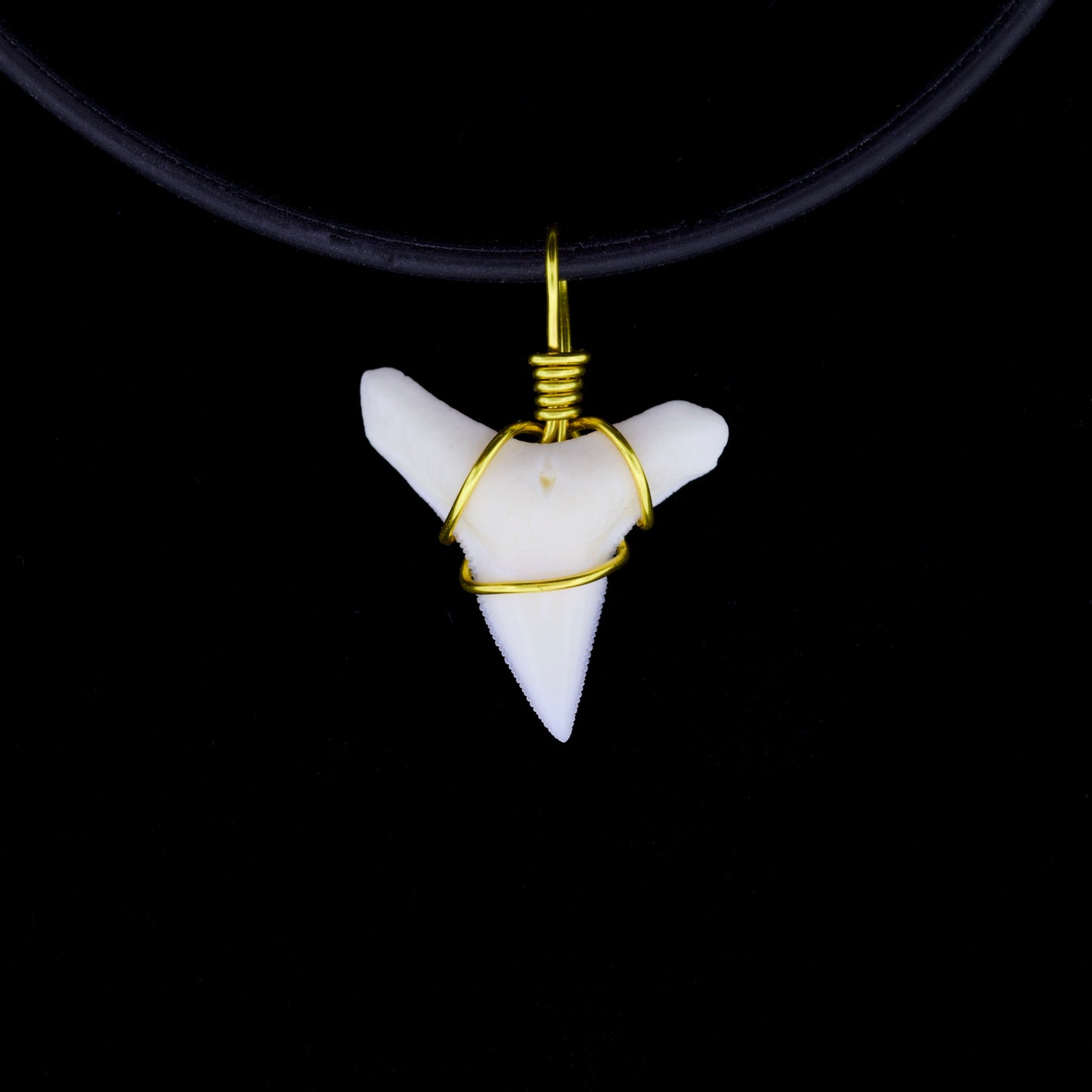 3/4" Modern Bull Shark Tooth Necklace – Color Wire, Silicone Cord