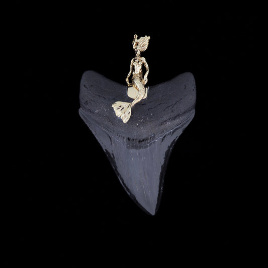 3" Megalodon Tooth Pendant | 14k Gold Mermaid