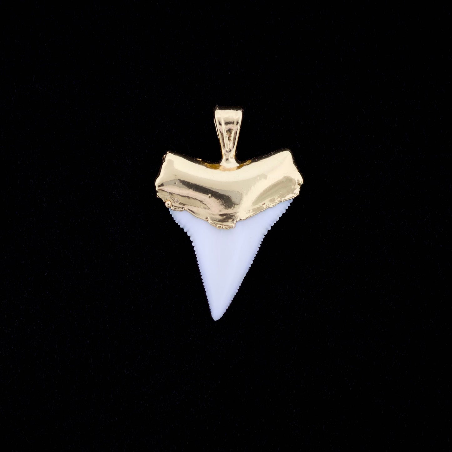 7/8" Oceanic White Tip Shark Tooth Pendant - 18K Gold Electroformed