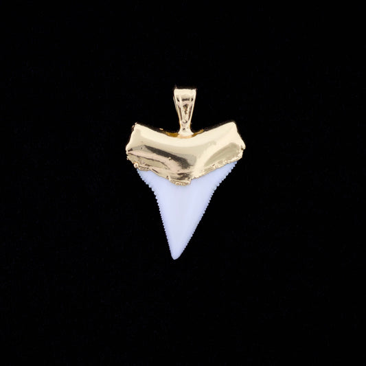 7/8" Oceanic White Tip Shark Tooth Pendant - 18K Gold Electroformed