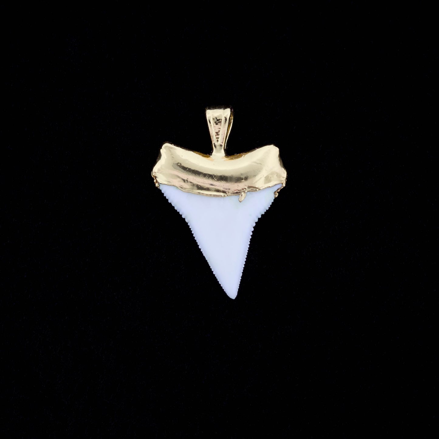 7/8" Oceanic White Tip Shark Tooth Pendant - 18K Gold Electroformed